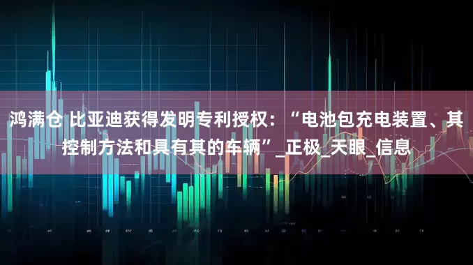 鸿满仓 比亚迪获得发明专利授权：“电池包充电装置、其控制方法和具有其的车辆”_正极_天眼_信息