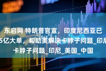 东启网 特朗普官宣，印度尼西亚已倒戈，送195亿大单，帮助美解决卡脖子问题_印尼_美国_中国